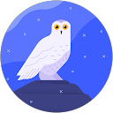 Otoniel León A profile picture