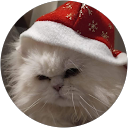 CARMEN ALICIA RUEDA profile picture