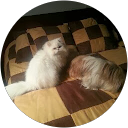 Edgar Mariño Guerrero profile picture